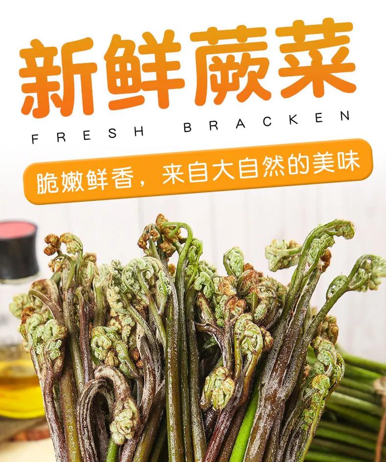 甜蕨